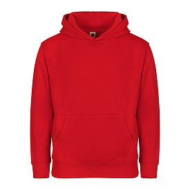 301 YOUTH ESSENTIAL HOODIE