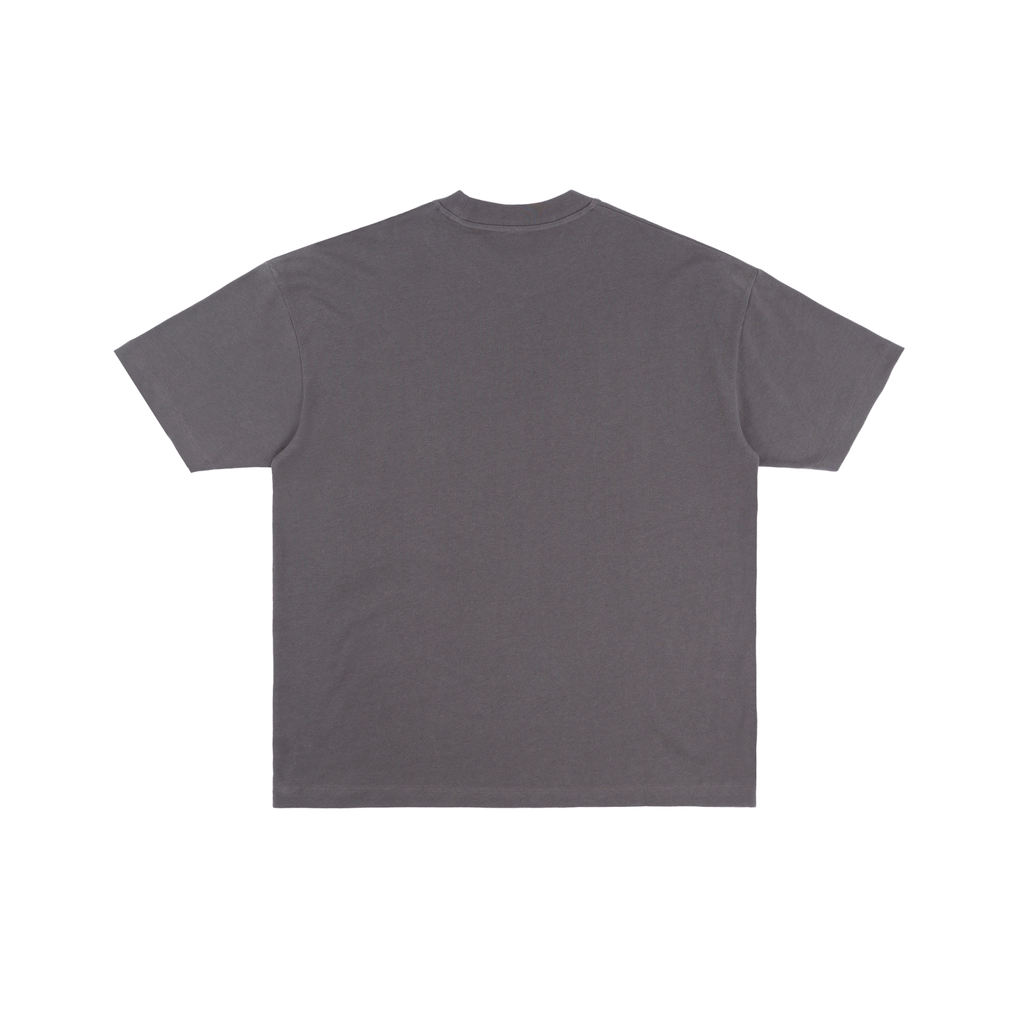 SSW 2.0 Cotton Jersey T-Shirt