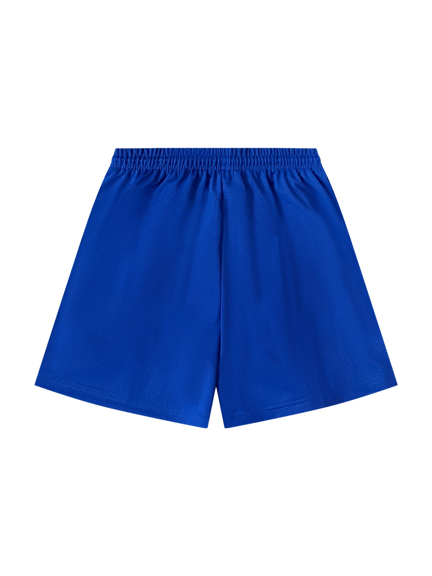 Sky Wear Keys 1042 Heavy Weight Mesh Shorts