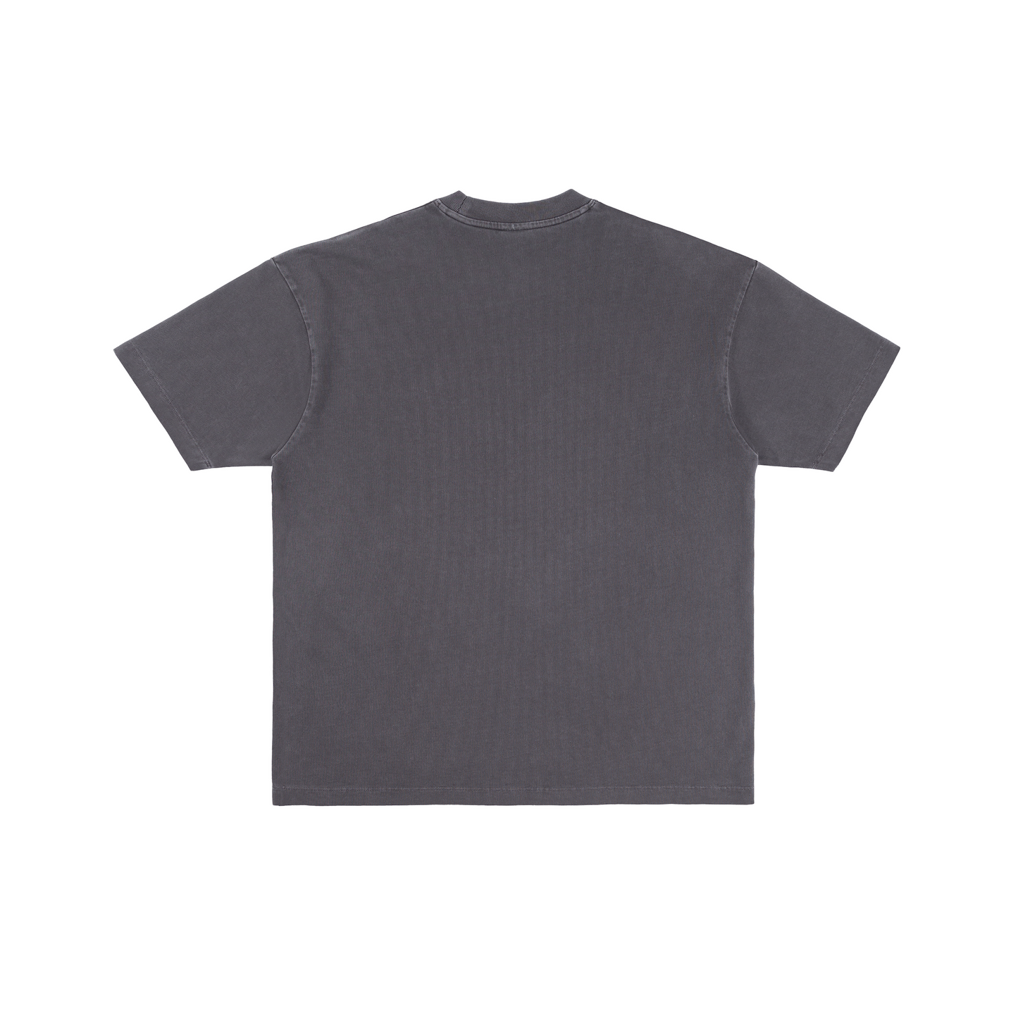 SSW 2.0 Cotton Jersey T-Shirt